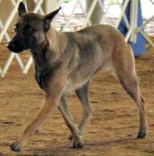 Branwen at 14 months